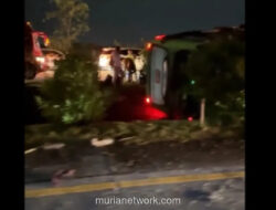 Bus Restu Terbalik di Tol Jombang, Satu Tewas dan Belasan Luka