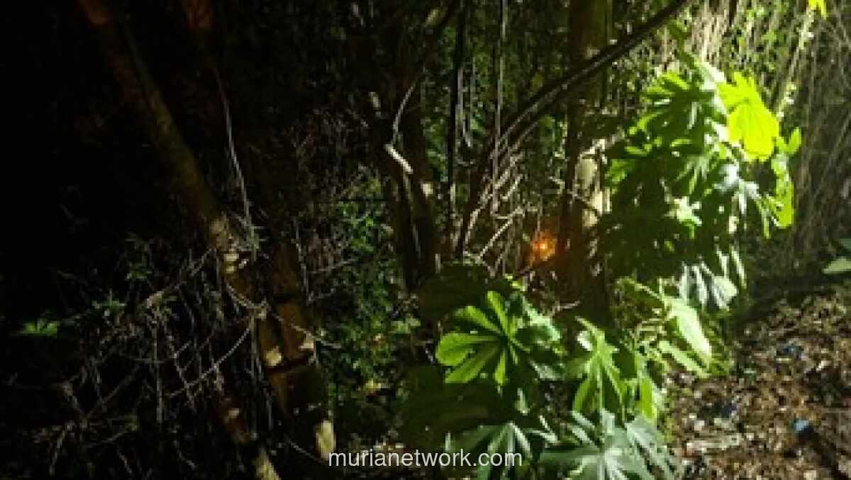 Perempuan Diduga Lompat ke Jurang di Bogor Usai Cekcok dengan Pria, Pencarian Masih Nihil