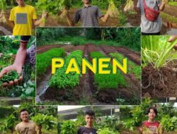 Petani Sambut Target Swasembada Pangan Prabowo, Harap Ego Sektoral Dikikis