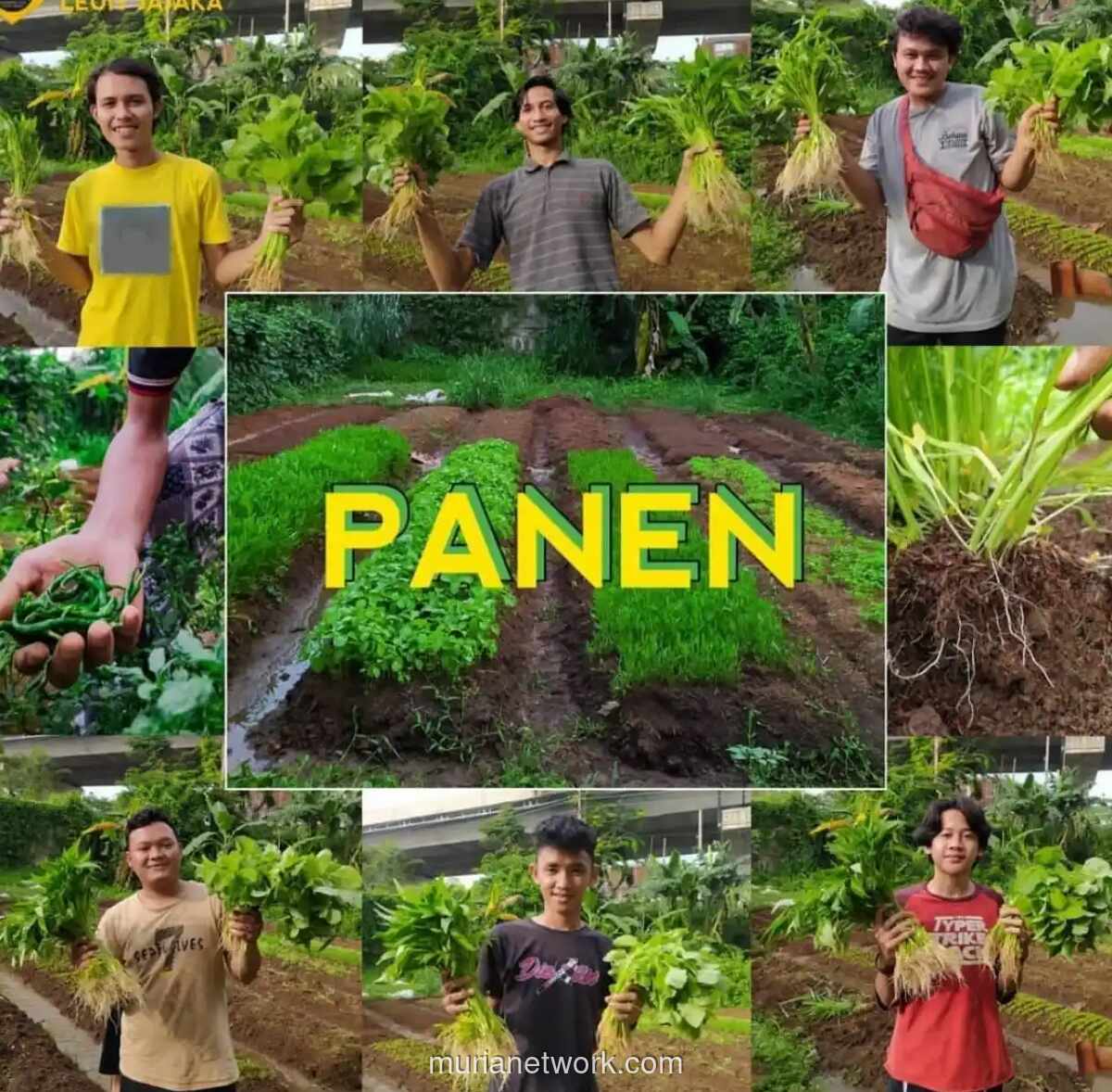 Petani Sambut Target Swasembada Pangan Prabowo, Harap Ego Sektoral Dikikis