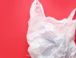 Geopolitik Panas Ganggu Pasokan Minyak, Aktivis Dorong Percepatan Pengurangan Plastik Sekali Pakai