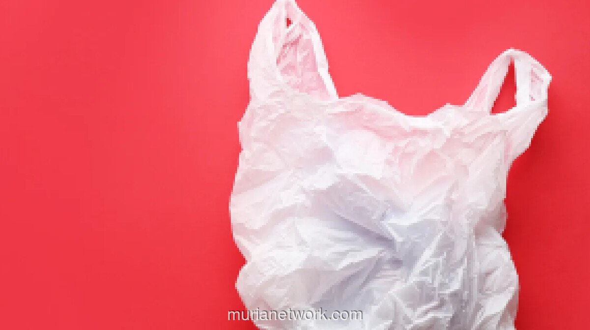 Geopolitik Panas Ganggu Pasokan Minyak, Aktivis Dorong Percepatan Pengurangan Plastik Sekali Pakai