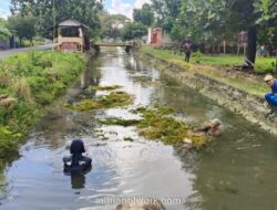 Camat Pimpin Gotong Royong Bersihkan Irigasi Palakka di Bone