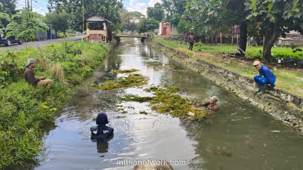 Camat Pimpin Gotong Royong Bersihkan Irigasi Palakka di Bone