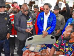 Komnas HAM Kecam Operasi Militer di Puncak yang Tewaskan Warga Sipil