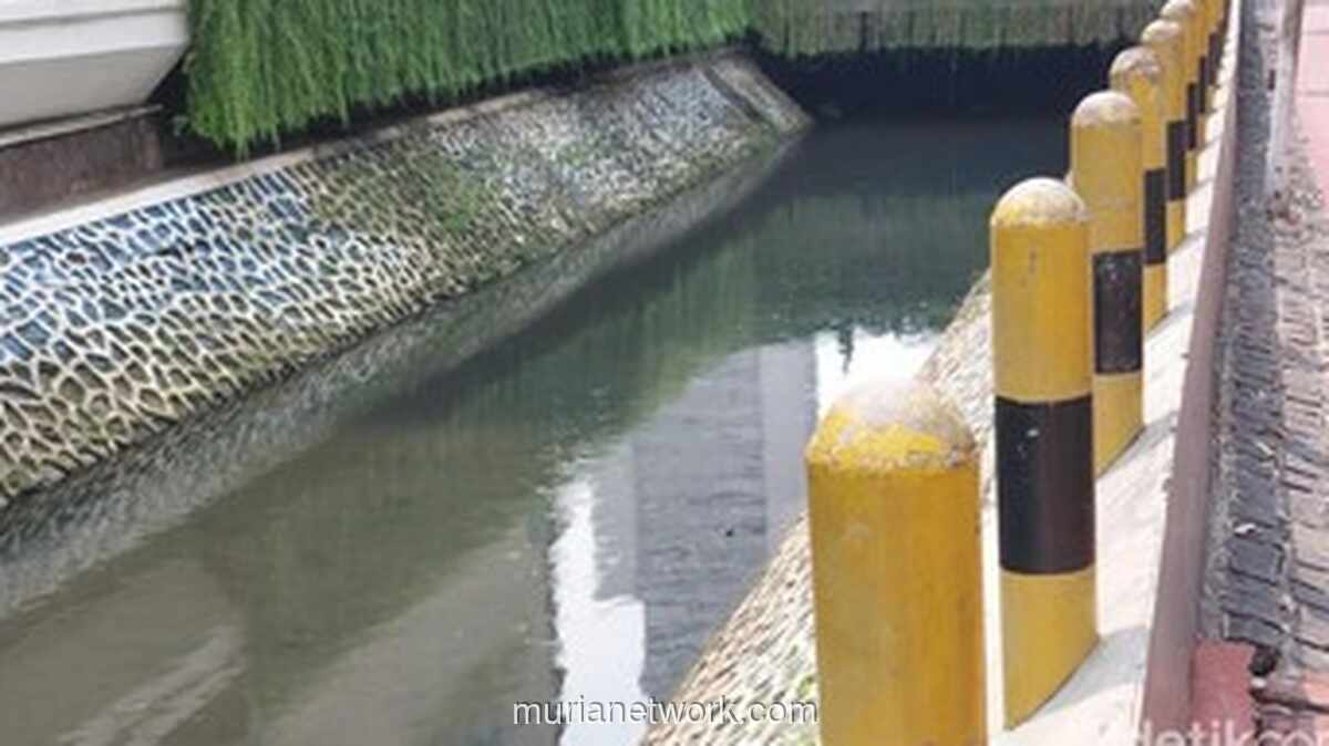 Upaya Pembersihan Ikan Sapu-sapu di Kali Cideng Belum Sepenuhnya Berhasil