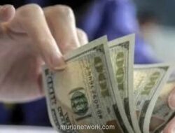 Pegadaian Beri Tips Investasi Dolar AS untuk Pemula di Tengah Pelemahan Rupiah