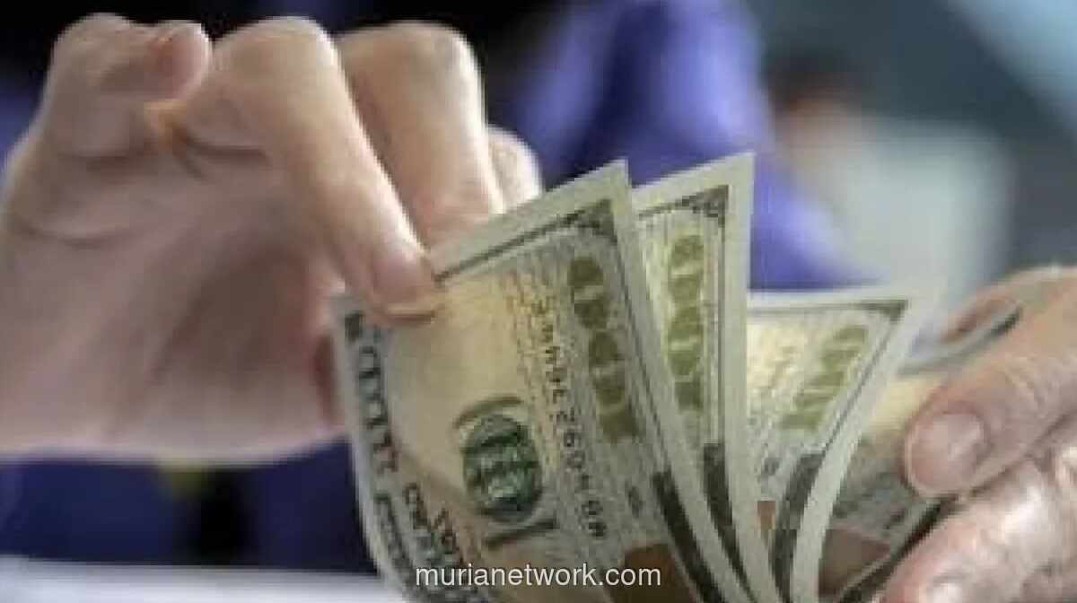 Pegadaian Beri Tips Investasi Dolar AS untuk Pemula di Tengah Pelemahan Rupiah