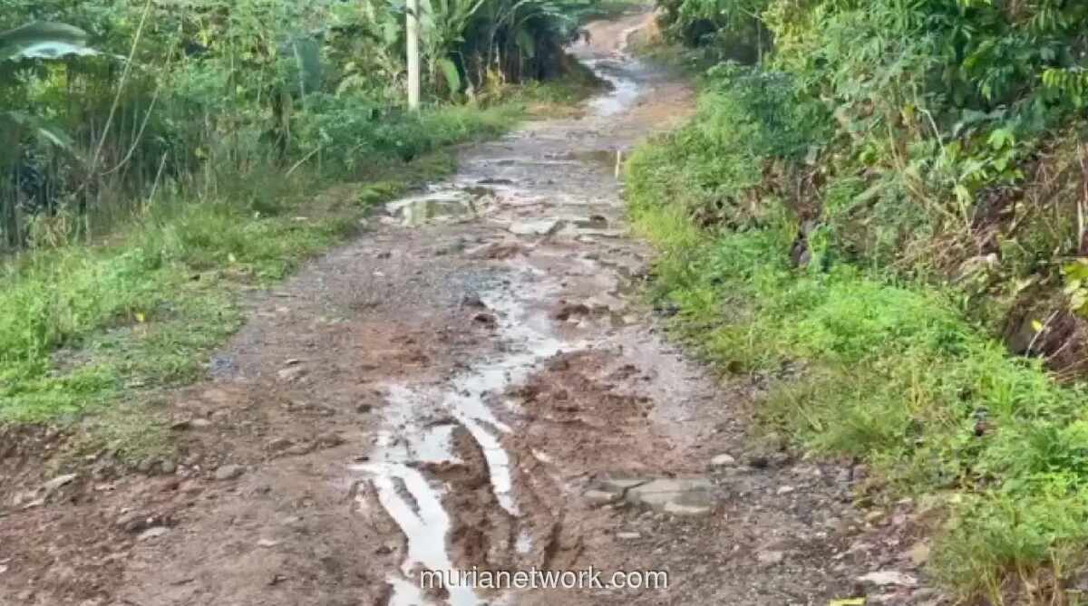 Longsor di Merangin, Akses Jalan Desa Rantau Jering Masih Tersumbat Material