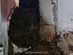 Longsor di Sukabumi Tewaskan Satu Warga, Diduga Dipicu Hujan Deras