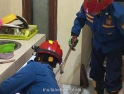 Petugas Damkar Ciamis Evakuasi Katak Nyasar di Bawah Wastafel Rumah Warga