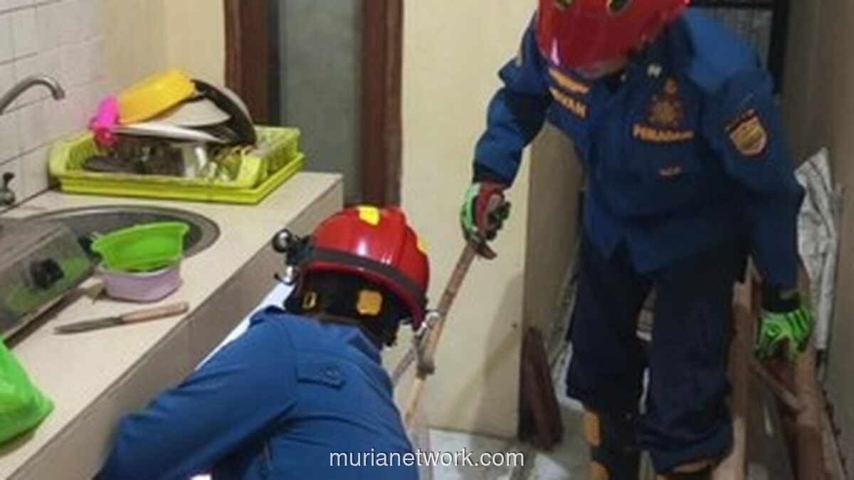 Petugas Damkar Ciamis Evakuasi Katak Nyasar di Bawah Wastafel Rumah Warga