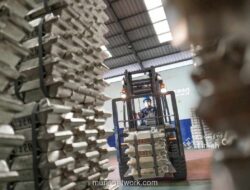 PT Timah Genjot Produksi dan Hilirisasi pada 2026 Manfaatkan Momentum Harga Global