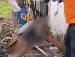 Mayat Pemulung Ditemukan Membusuk di Belakang Gedung Unhas Makassar