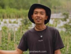 Program Makan Bergizi Gratis Dongkrak Stabilitas Harga Sayuran di Boyolali