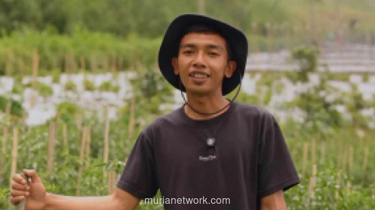 Program Makan Bergizi Gratis Dongkrak Stabilitas Harga Sayuran di Boyolali