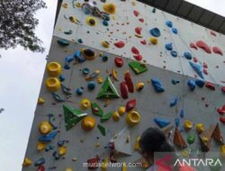 FPTI: Kunci Lestarikan Prestasi Panjat Tebing Ada di Mitigasi Masalah dan Regenerasi