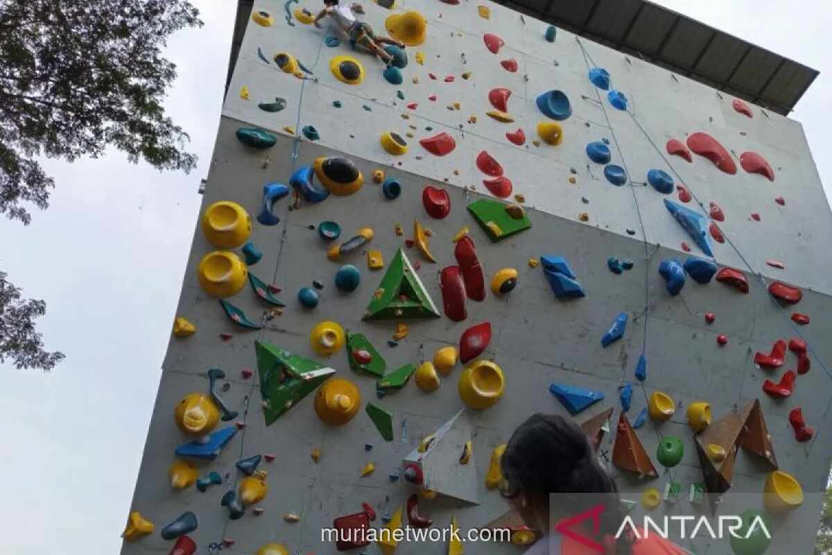 FPTI: Kunci Lestarikan Prestasi Panjat Tebing Ada di Mitigasi Masalah dan Regenerasi