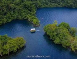 Danau Matano, Danau Purba Terdalam di Asia Tenggara, Jadi Surga Tersembunyi di Luwu Timur