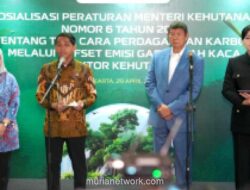 Kementerian Kehutanan Resmi Luncurkan Aturan Percepatan Perdagangan Karbon Nasional