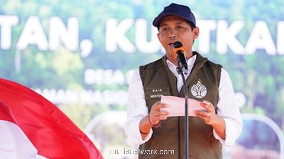 Pemerintah Terbitkan Aturan Baru Perdagangan Karbon Sektor Kehutanan