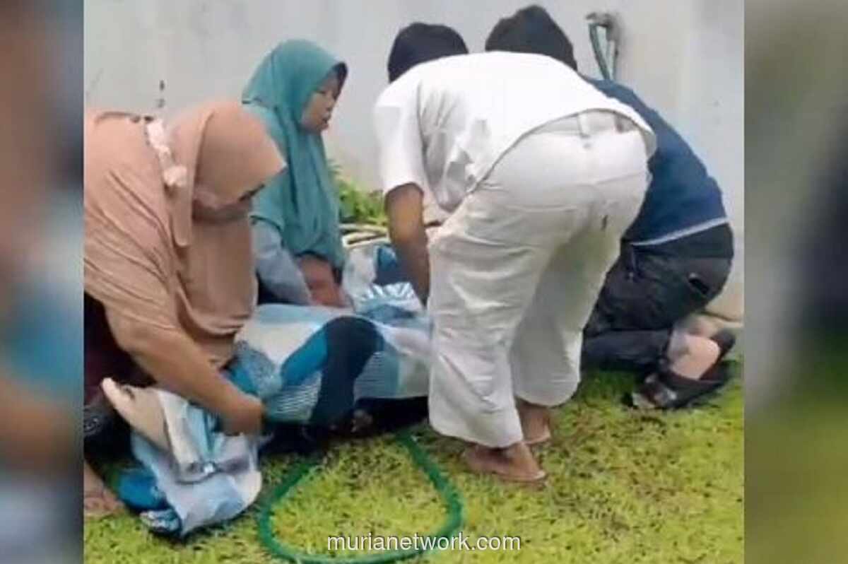 Menantu Tewaskan Mertua dengan Golok di Lampung Selatan