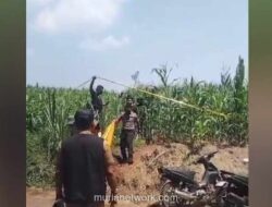 Handphone di Saku Mayat Pria di Kebun Jagung Jombang Jadi Petunjuk Utama
