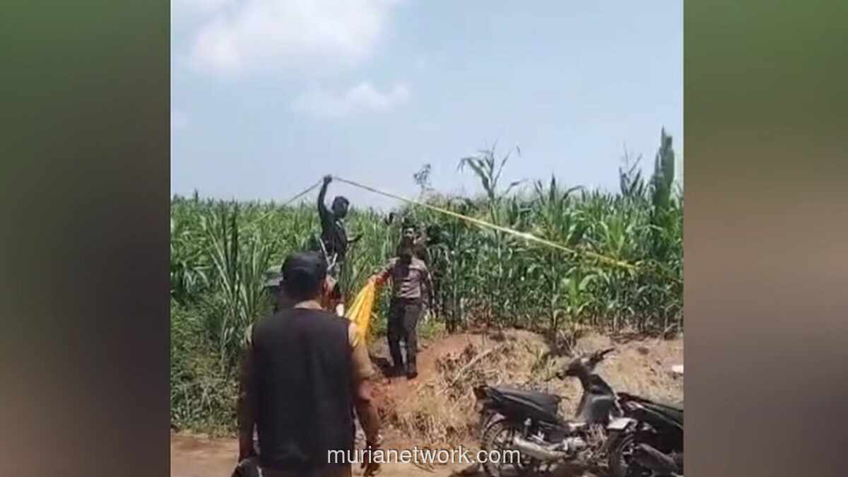 Handphone di Saku Mayat Pria di Kebun Jagung Jombang Jadi Petunjuk Utama