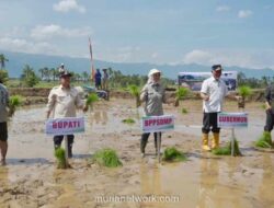 Kementan Akselerasi Tanam Serentak 50 Ribu Hektare di 25 Provinsi Antisipasi Kekeringan