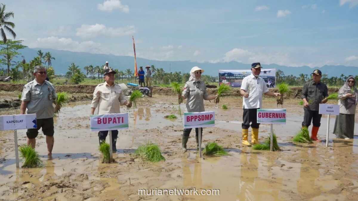 Kementan Akselerasi Tanam Serentak 50 Ribu Hektare di 25 Provinsi Antisipasi Kekeringan