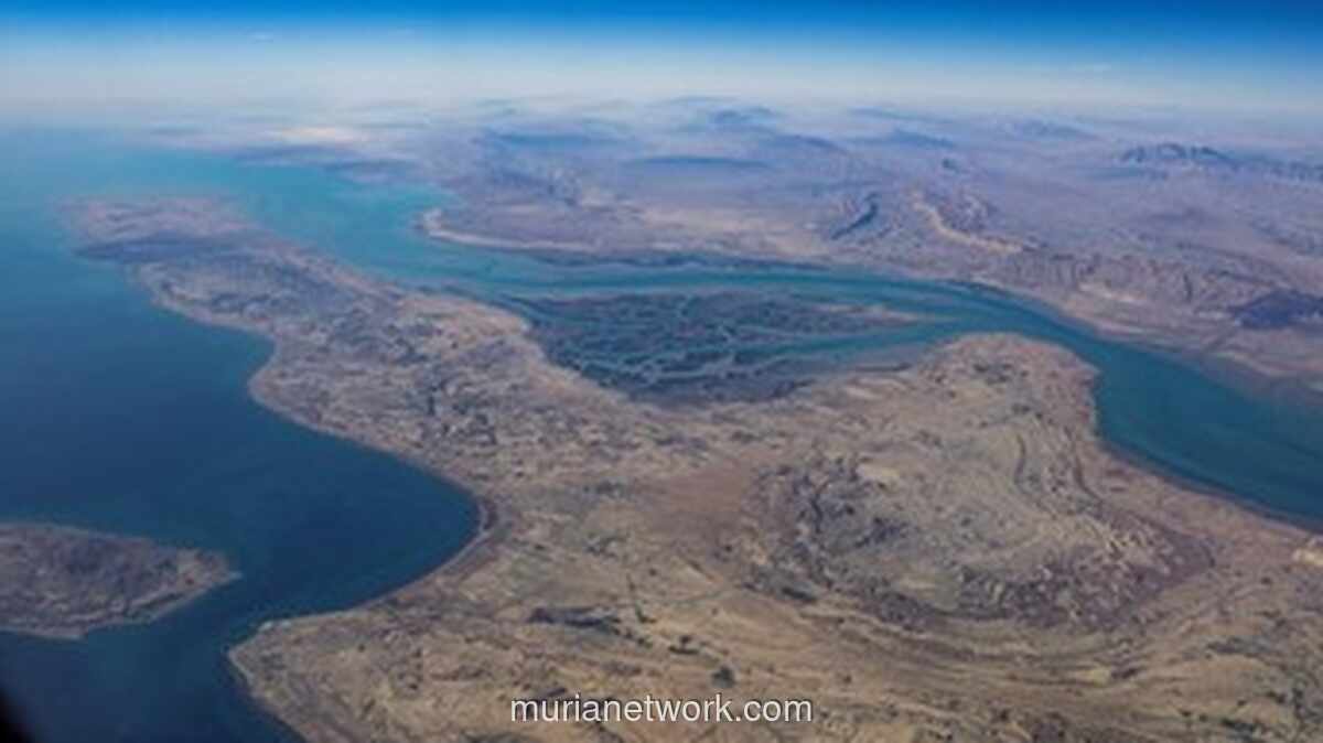 IMO Peringatkan Bahaya Blokade AS dan Pungutan Iran di Selat Hormuz