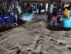 Bulog Kaji Peluang dan Risiko Bangun Gudang Pangan di Arab Saudi