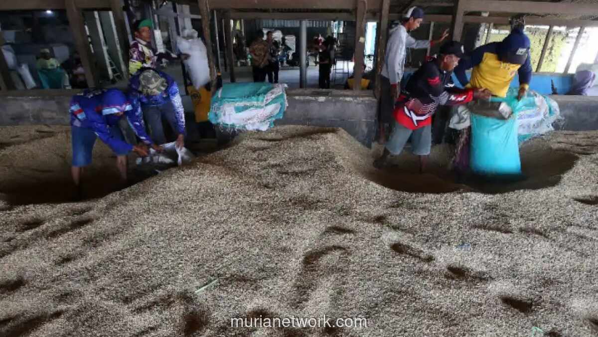 Bulog Kaji Peluang dan Risiko Bangun Gudang Pangan di Arab Saudi