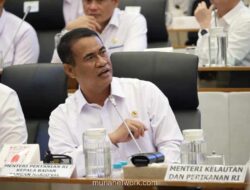 Stok Beras Pemerintah Capai Rekor Tertinggi, Siap Hadapi Ancaman El Nino