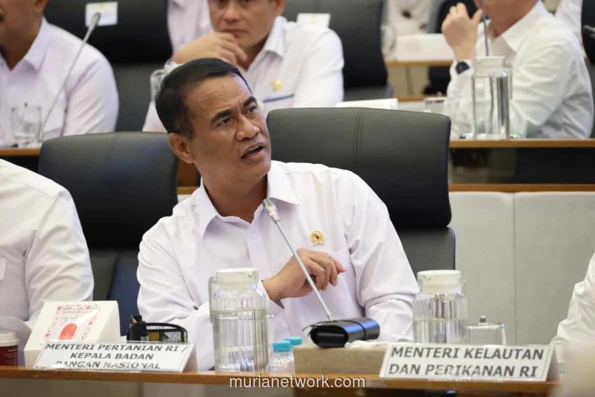 Stok Beras Pemerintah Capai Rekor Tertinggi, Siap Hadapi Ancaman El Nino