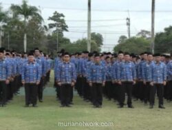 Bangka Belitung Terapkan WFH untuk ASN, Layanan Publik Tetap Berjalan