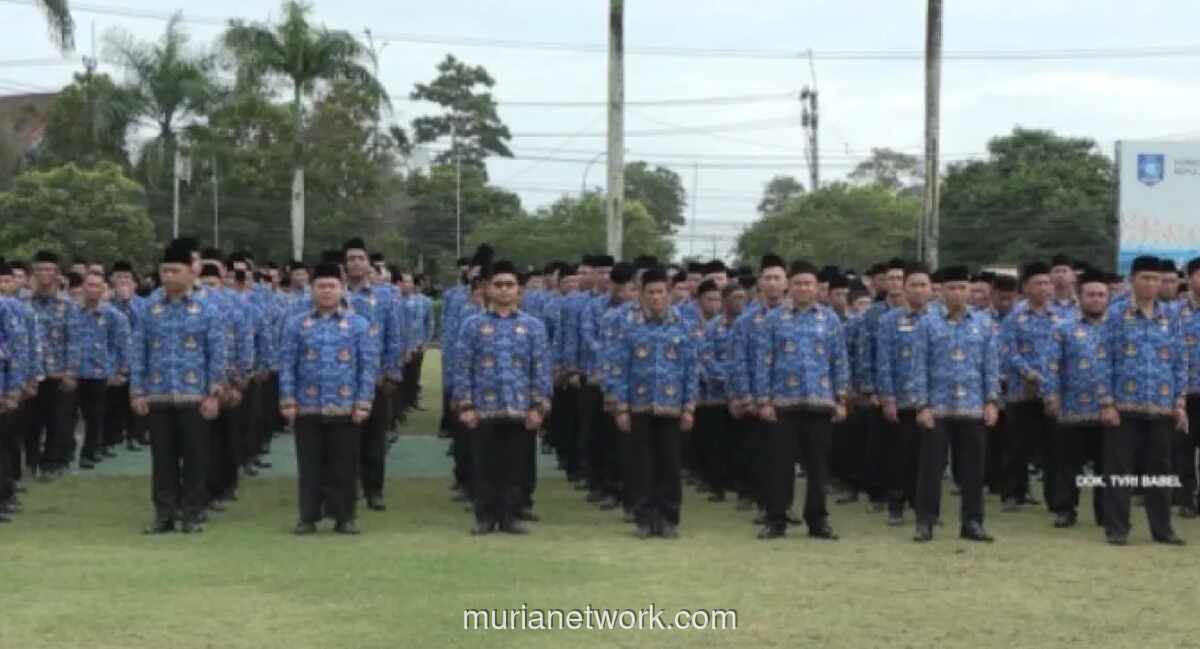 Bangka Belitung Terapkan WFH untuk ASN, Layanan Publik Tetap Berjalan