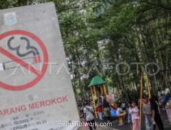 DKI Larang Display Rokok di Toko dan Iklan di Medsos untuk Tekan Perokok Anak