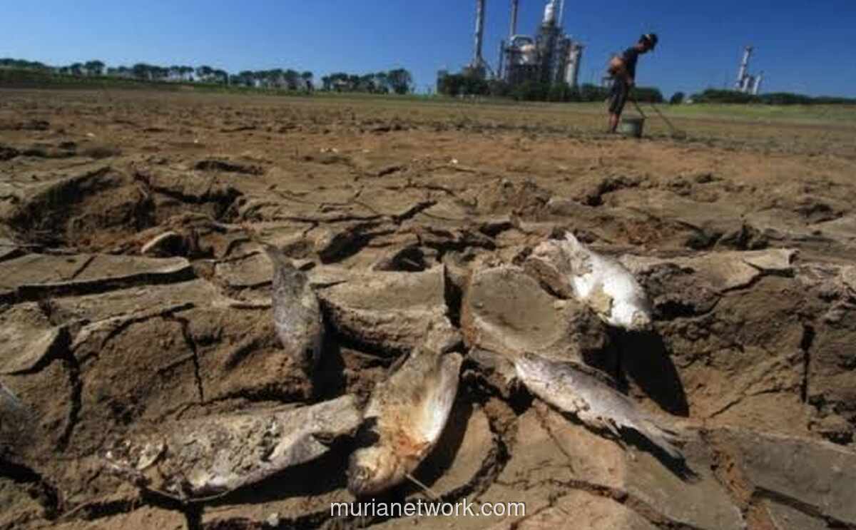 Gubernur DKI Peringatkan Ancaman El Nino terhadap Pangan dan Kesehatan Warga