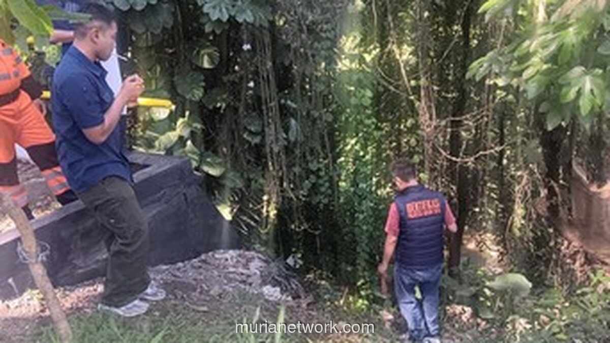 Pencarian Wanita yang Dikabarkan Lompat ke Jurang di Bogor Dihentikan, Tak Ditemukan Jejak Jatuh