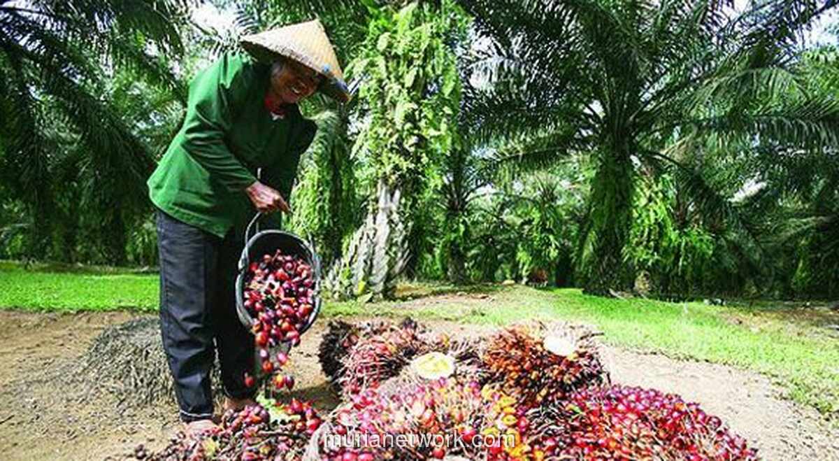 Bakrie Sumatera Plantations Catat Penjualan Rp2,56 Triliun dan Lonjakan Laba Operasi 86% pada 2025