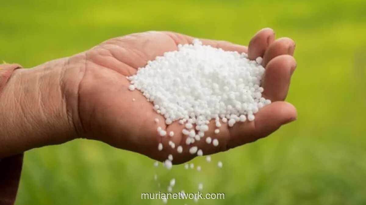 Bank Dunia Peringatkan Lonjakan Harga Pupuk 31 Persen pada 2026, Ancam Ketahanan Pangan Global