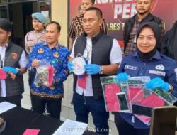 Polisi Tasikmalaya Bongkar Jaringan Perburuan dan Penjualan Trenggiling