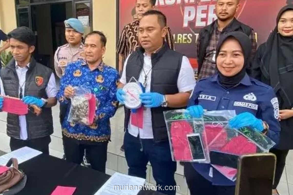 Polisi Tasikmalaya Bongkar Jaringan Perburuan dan Penjualan Trenggiling