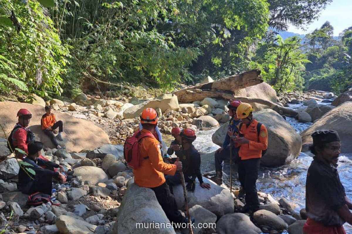 Tim SAR Makassar Cari Perempuan 51 Tahun yang Tersesat di Hutan Palopo