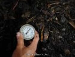 SDN Sukabumi Selatan 07 Olah Sampah Dapur Jadi Ekoenzim dalam Rangka Hari Bumi