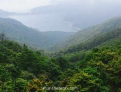 Pemerintah Wajibkan Pelibatan Masyarakat dalam Perdagangan Karbon Sektor Kehutanan