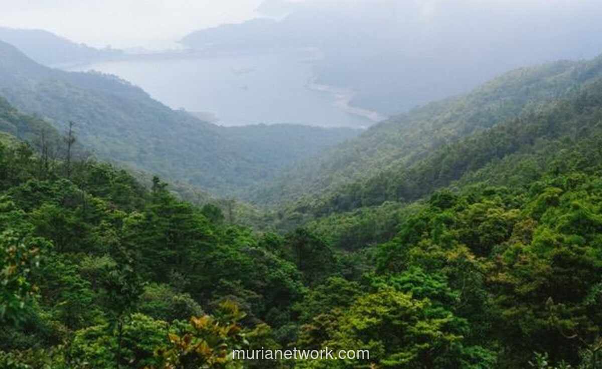 Pemerintah Wajibkan Pelibatan Masyarakat dalam Perdagangan Karbon Sektor Kehutanan