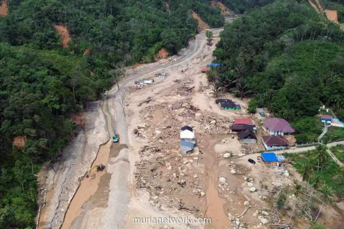 Enam Perusahaan Siap Bayar Ganti Rugi Rp4,8 Triliun Atas Banjir dan Longsor Sumatra