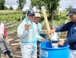 PGE dan UGM Kembangkan Pupuk Ramah Lingkungan Berbasis Panas Bumi untuk Tingkatkan Produktivitas Pertanian